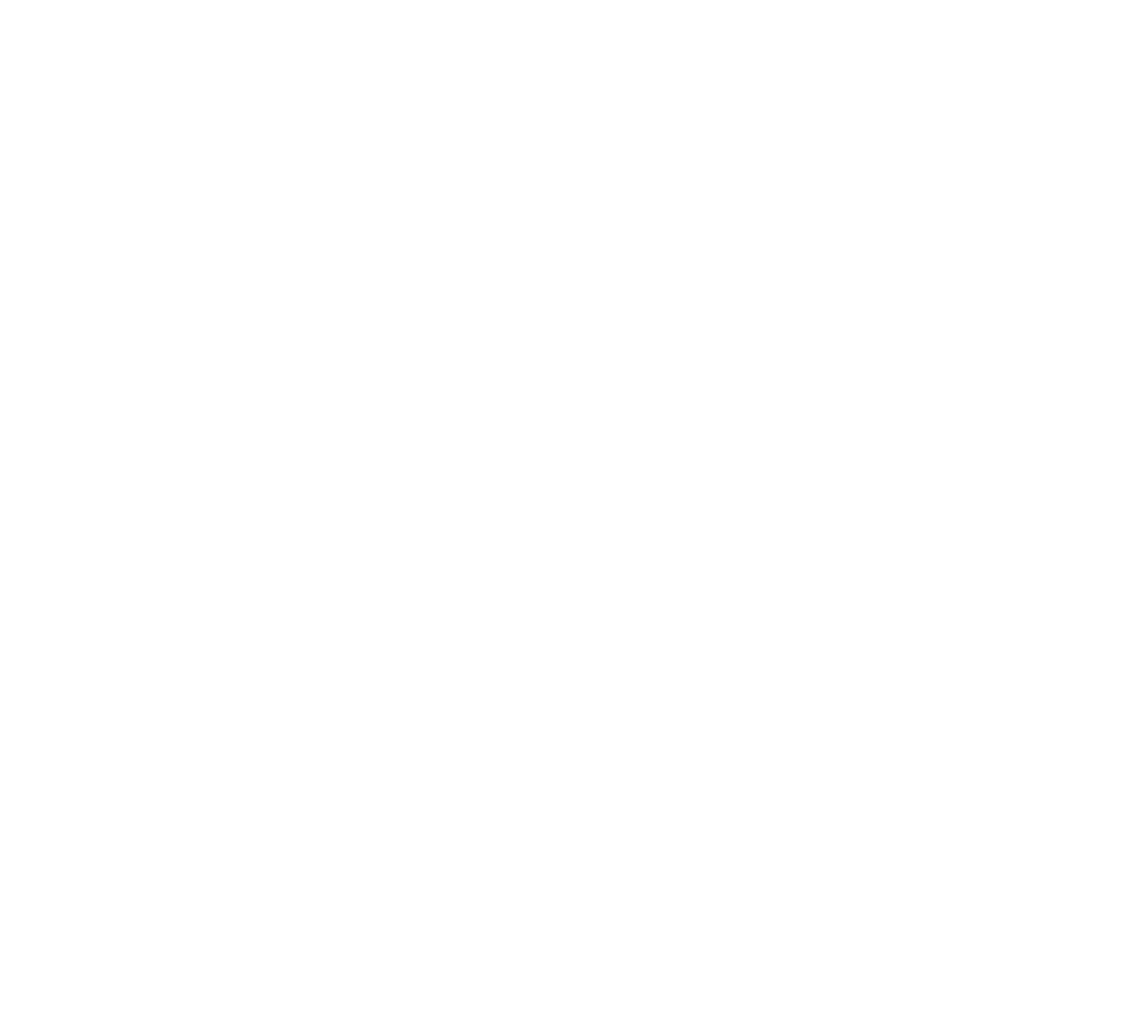 SK IN logo Tekengebied kopie